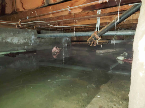 Best Commercial water damage restoration  in Lantana, TX