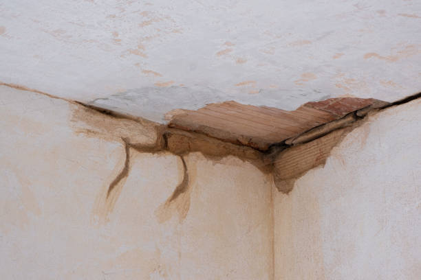 Best Emergency water damage restoration  in Lantana, TX